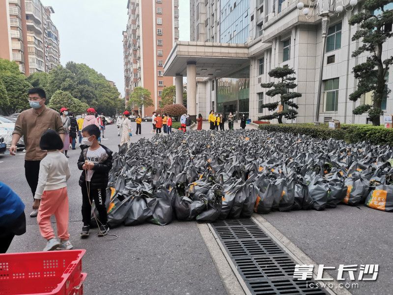 780份蔬菜包送到了湘林小區(qū)院內(nèi)。長沙晚報實習生 羅楊 攝